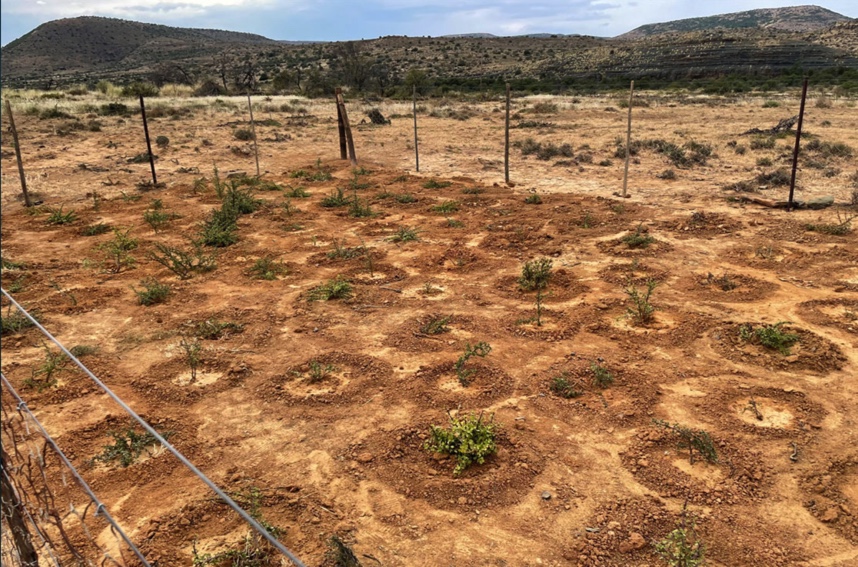 37655867-2621-462D-95B9-2EB61A096094