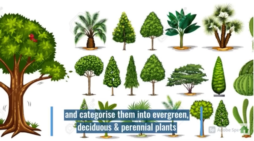 60DE3B71-9C48-423E-B0C2-7EA54AF3E711