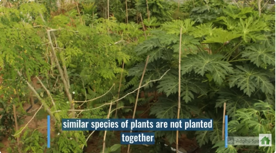 9A266C12-DA65-4207-9C1F-4D64BE8EEC6B