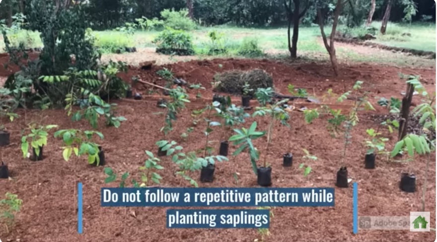 9EBF580F-E568-45B3-B640-A3D83DF9125D