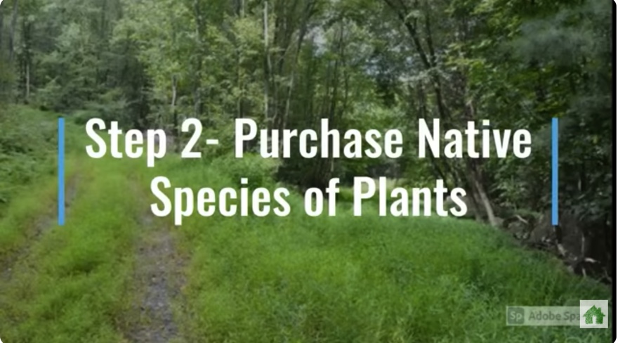 AD91AD36-8BBF-41E9-B95B-6982FF38CE02