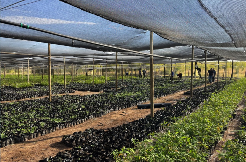 B9C2559A-C3B5-486E-A4FE-80367D67B076